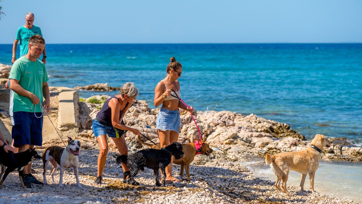 Camping mit Ihrem Hund in Kroatien | Camps Cres & Losinj Camping Cres Loinj