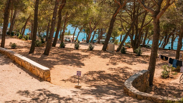 A serene campsite at Slatina surrounded by pine trees with the sea in the background