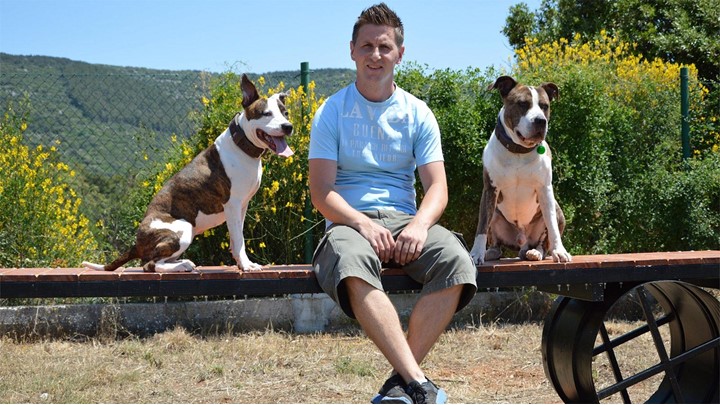 A person sitting on a bench with two dogs in a garden