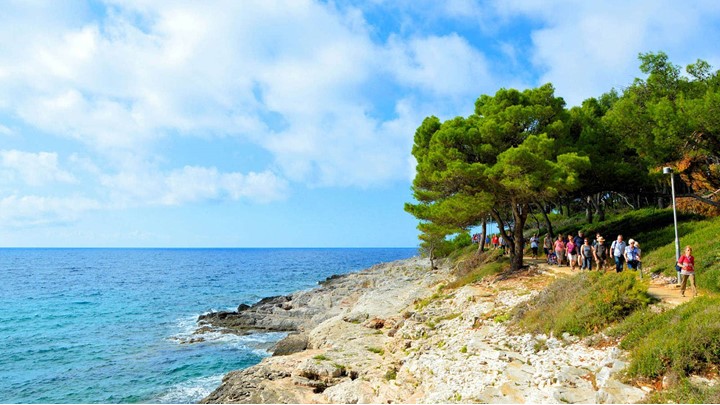 A group of people hiking along a rocky coastline with trees and the sea