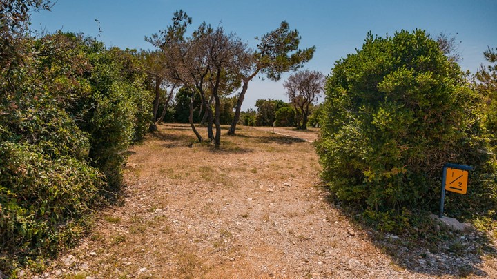 A path through a wooded area in Slatina