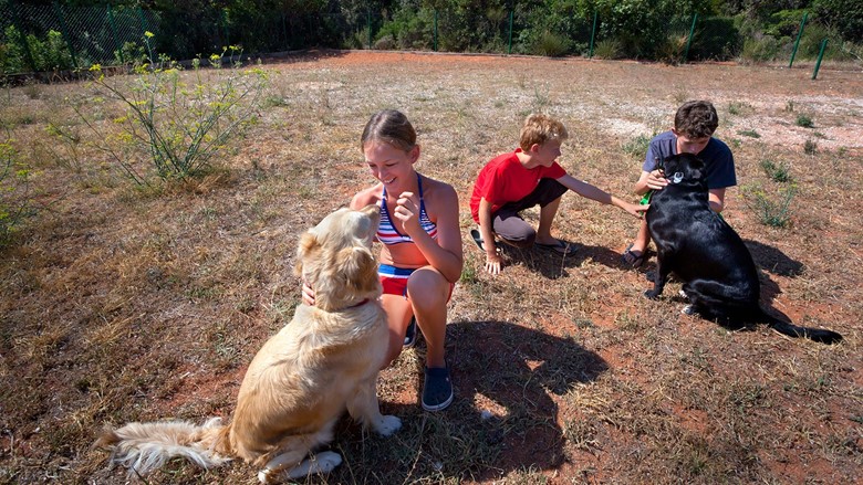 Camp in Croatia with your dog