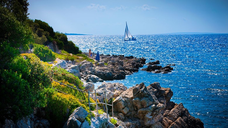 Rocky shore of the Adriatic sea