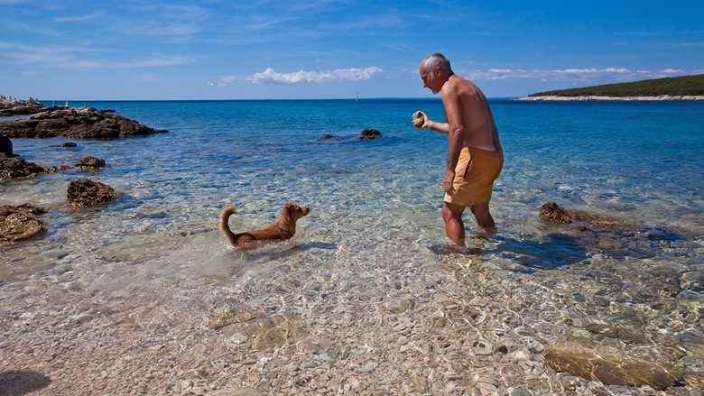 Swimming with your dog