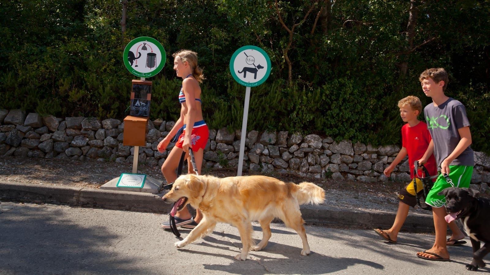 Kinderdag Geven Verwoesten Camping met de hond in Kroatie | Camping Cres Losinj