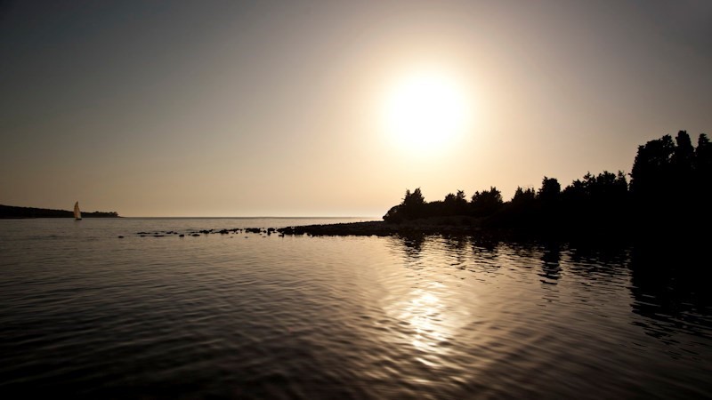 A serene sunset over calm waters with a silhouette of trees along the shoreline