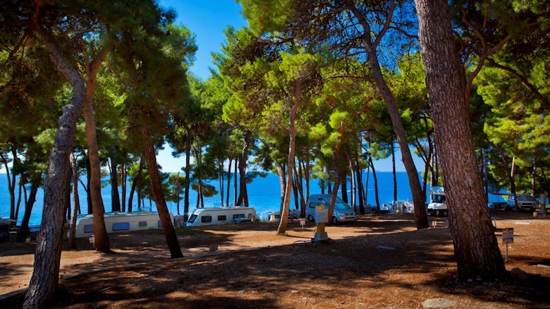 A scenic view of a campsite with caravans among pine trees overlooking the sea
